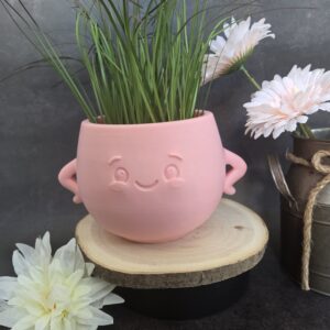 cache pot heureux